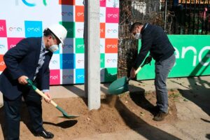 Inédito proyecto de economía circular: Enel Distribución instala los primeros postes reciclados del país