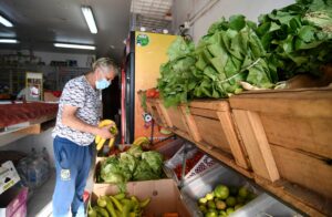 Subsidio a la canasta básica: ¿en qué mes se entrega el monto?