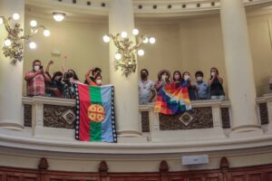 Preguntas sobre la Convención: qué significa la norma que reconoce derechos territoriales indígenas