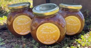 Emprendedores de la apicultura: un oficio que contribuye a la sostenibilidad ambiental