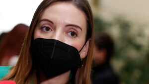 Diputada Camila Flores anunció que está embarazada: 