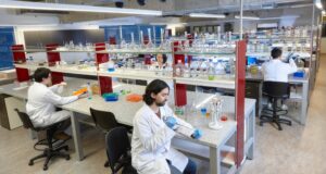 Seis estudiantes de doctorado USS expondrán sus tesis en congresos internacionales