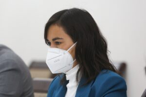 Siches por FF.AA. en Macrozona Sur: 