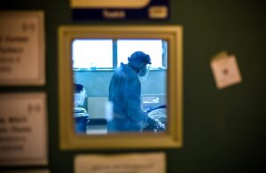 Viruela del mono: Unión Europea pide poner en cuarentena a mascotas de infectados