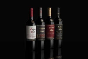 Casillero del Diablo es reconocida por Wine Intelligence como la segunda marca de vino más poderosa del mundo