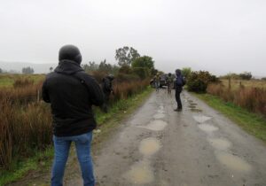 Hombre murió baleado tras ingresar a predio en Villarrica