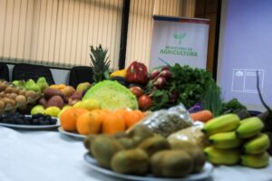 Gobierno crea Comisión Nacional de Seguridad y Soberanía Alimentaria: ¿Para qué se creará y cuál es su función?
