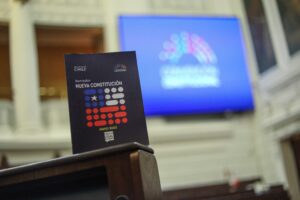 Desmenuzando el texto refundacional, sexta parte: caos de subsistencia