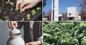 Campeonato “Nada Nos Detiene” llega a Lampa para impulsar a los emprendedores de la zona