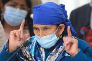 El gobierno de Boric restituye terrenos a familias mapuches: son 172 hectáreas