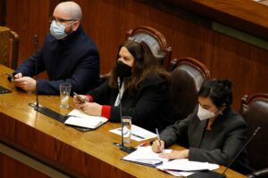 Con menos apoyo que en la votación anterior: Cámara aprobó extender el Estado de Excepción en macrozona sur