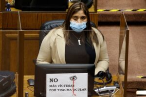 Gobierno respaldó a Fabiola Campillai tras incidente con grupo de adherentes del Rechazo en Santiago