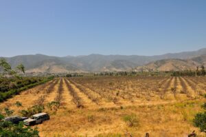Gobierno interviene en mercado de parcelas y prohíbe los loteos no agrícolas