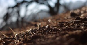 ¿Y quién paga la deuda ecológica en Chile?