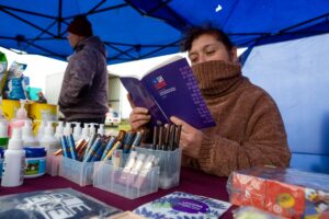 El proyecto de ley que busca sancionar las Fake News sobre la nueva Constitución