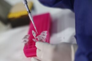 Viruela del mono: OMS lamenta matanza de simios en Brasil por temor a contagios