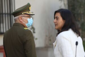 Siches asegura que las declaraciones de Llaitul sobre robo de madera 