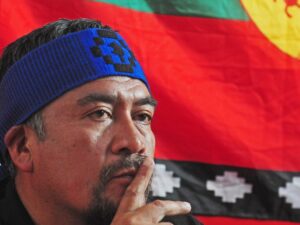 La dura crítica de Neme a Boric tras detención de Héctor Llaitul: 