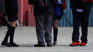 Investigadores detallaron la implementación del Modelo de Desarrollo de Capacidades en la Educación Pública