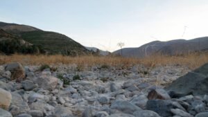 Las seis comunas emblemáticas que dieron la espalda al Apruebo y se inclinaron al Rechazo