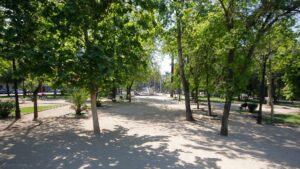 Golpearon a la víctima con un scooter: detienen a cuatro personas por homicidio en Parque Almagro