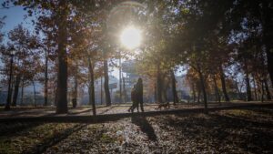 Línea 7 del Metro no tendrá salida de estación en el Parque Forestal