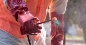 Plaguicidas en Chile