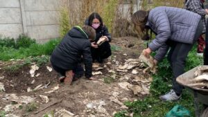 Estudiantes encuentran textos inéditos de autora chilena Stella Corvalán enterrados en colegio de La Florida