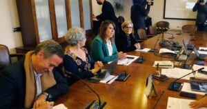 Delegada presidencial llamó a legislar para mejorar la seguridad en eventos masivos tras recital de Daddy Yankee