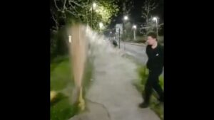 Fiscalía solicitó a SIP de Carabineros indagar al responsable de romper un grifo en Las Condes