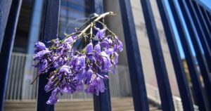 El mundo que se destruye cuando una mujer pierde su vida injustamente