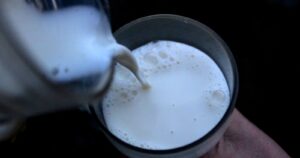 Relevancia de la leche en la etapa escolar