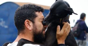 La voz de los animales