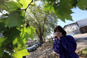 Cuatro consejos para combatir las alergias durante esta primavera