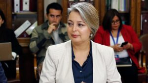Comisión de Hacienda de la Cámara aprobó extensión del postnatal de emergencia