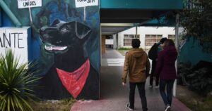 Lo Barnechea organiza cuadrillas municipales para borrar murales del perro Negro Matapacos