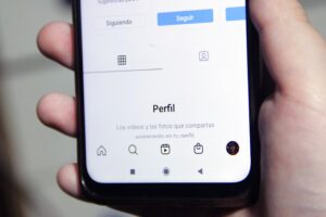 Mastodon: ¿Cómo funciona la red social a la que están huyendo los usuarios de Twitter tras la compra de Elon Musk?