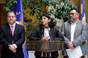 Crisis en el PDG: jefa de bancada suspende de comisiones a diputados que votaron por Mirosevic