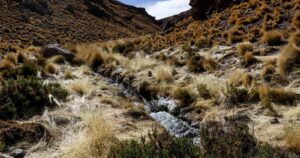 Corte Internacional de Justicia fija fecha para sentencia en juicio entre Bolivia y Chile por el río Silala