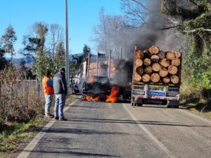 Nuevos ataques en Ercilla confirman alza sostenida de atentados en la Macrozona Sur