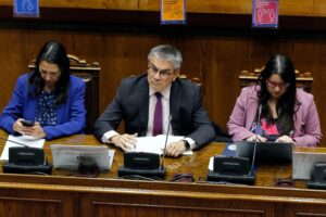Gobierno repondrá partida del INDH del Presupuesto en el Senado con monto levemente menor