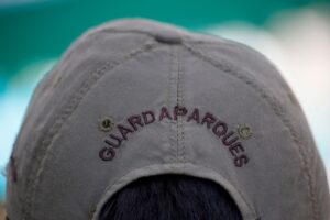 Guardaparques critican a delegado presidencial de La Araucanía: 