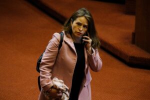 DC pierde dos diputados tras las renuncias de Joanna Pérez y Jorge Saffirio