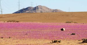 Ya somos 8 mil millones… ¿Y ahora qué?