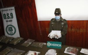 Colombianos involucrados en agresiones a Carabineros fueron detenidos por tráfico de drogas