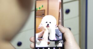 Tendencias 2023: TikTok, shorts y reels seguirán entre los favoritos