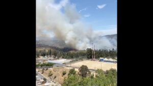 FOTOS + VIDEOS - Gigantesco incendio se registra en el Jardín Botánico de Viña del Mar