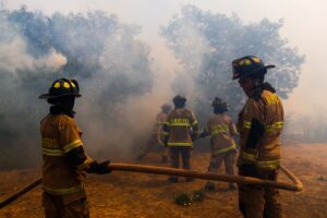 Onemi reportó 44 incendios forestales en todo el país: 12 se encuentran en combate
