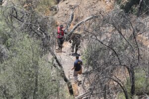 Deportista y sus perros encuentran osamentas y un cadáver en cerro San Cristóbal