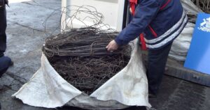 Robo de cables de cobre: senadores buscan potenciar la persecución de estos delitos